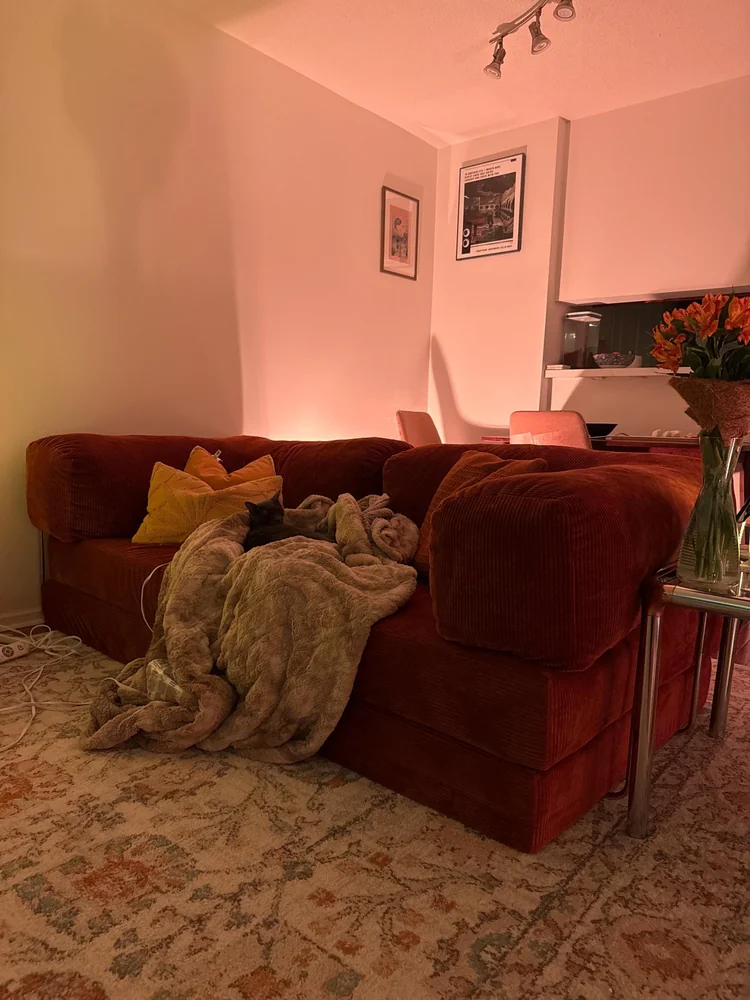 Диван Teddy | Базовый Минимум в интерьере покупателя, фото 68